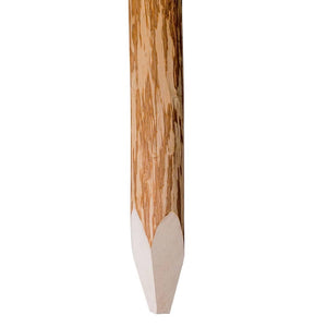 vidaXL Fence Posts with Pointed Ends 4 pcs. Hazelwood 120 cm
