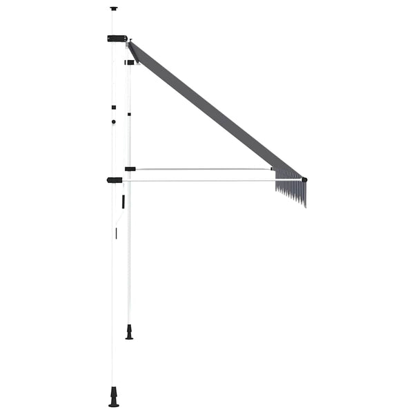 vidaXL Retractable Awning Manual 300 cm Blue/White Striped