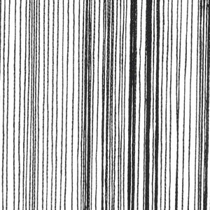 vidaXL String Curtains 2 pcs. 100 x 250 cm Black