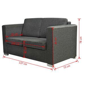 vidaXL 2-Seater Sofa Fabric Dark Grey