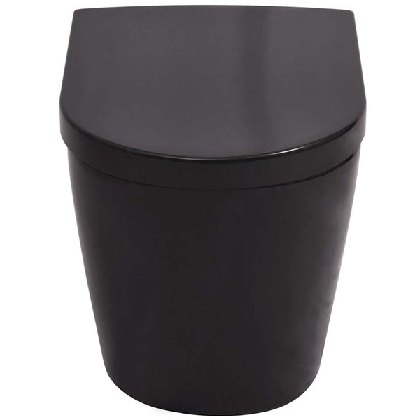 vidaXL Wall-Mounted Toilet with Concealed Cistern Ceramic Black
