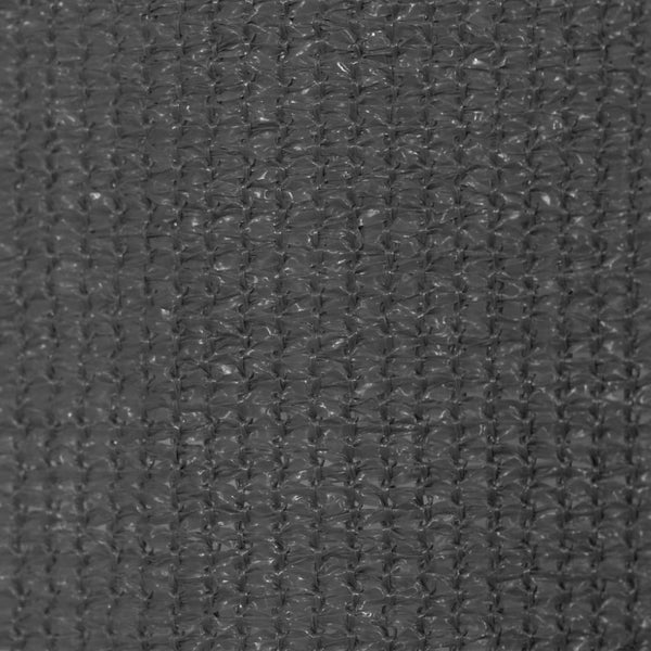 vidaXL Outdoor Blind 140 x 230 cm Anthracite