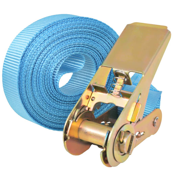 vidaXL Ratchet Tie Down Straps 10 pcs 0.8 Tons 4m×25mm Blue