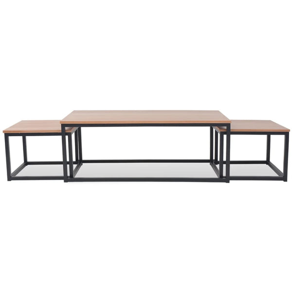vidaXL 3-Piece Coffee Table Set Ash Wood