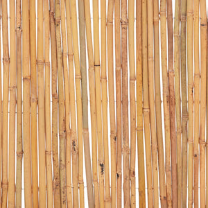vidaXL Bamboo Garden Fence 500 x 50 cm
