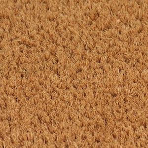 vidaXL Natural Doormats 2 pcs. Coir 24 mm 40x60 cm