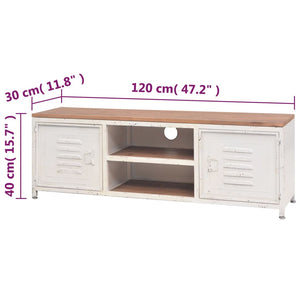 vidaXL TV Cabinet 120x30x40 cm White