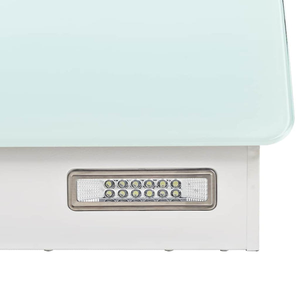 vidaXL Wall-Mounted Cooker Hood Stainless Steel 756 m³/h 60 cm White