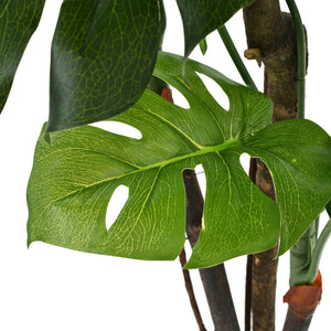 vidaXL Artificial Monstera Swiss Cheese Plant with Pot 170 cm Green