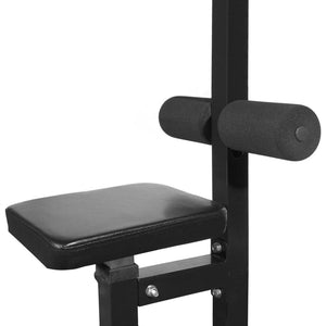 vidaXL Multi-Gym with Weight Plates 40 kg
