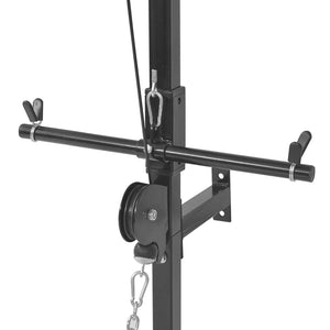 vidaXL vidaXL Wall-Mounted Fitness Station with 40 kg Weight Plates