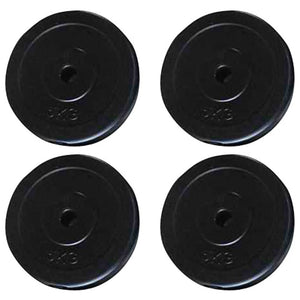 vidaXL vidaXL Wall-Mounted Fitness Station with 40 kg Weight Plates