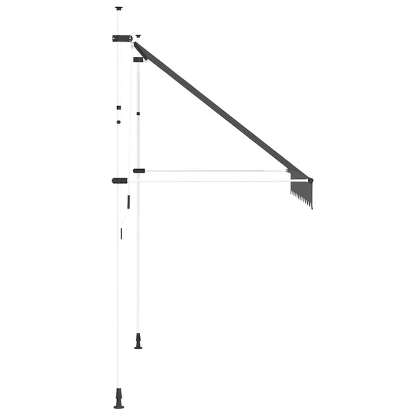 vidaXL Retractable Awning Manual 250 cm Anthracite