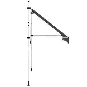 vidaXL Retractable Awning Manual 300 cm Anthracite