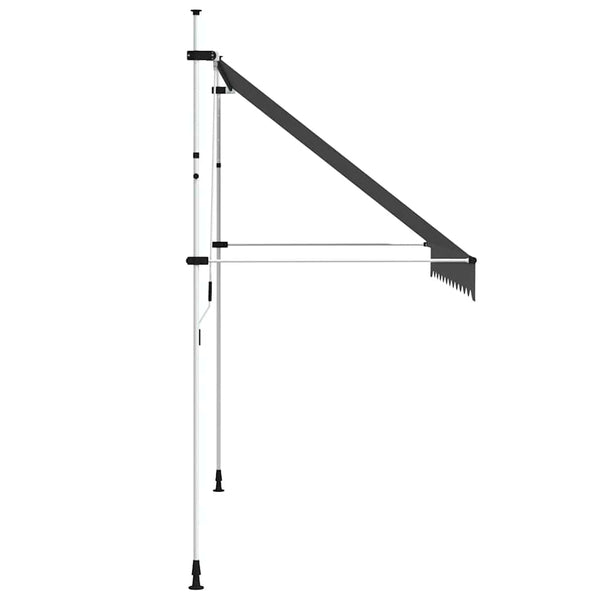 vidaXL Retractable Awning Manual 300 cm Anthracite