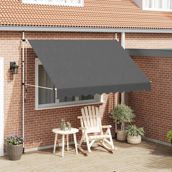 vidaXL Retractable Awning Manual 300 cm Anthracite