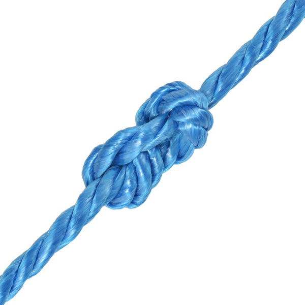 vidaXL Polypropylene Rope 12 mm 500 m Blue