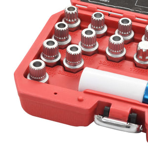 vidaXL 21-Piece BMW Locking Wheel Nut Removal Tool Set