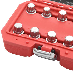 vidaXL 10-piece Wheel Nut Set for VW