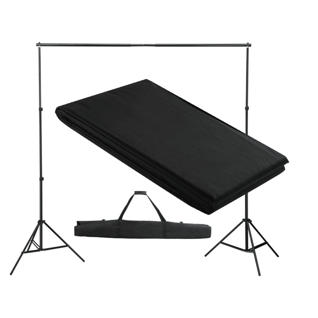 vidaXL Photo Background System 300 x 300 cm Black