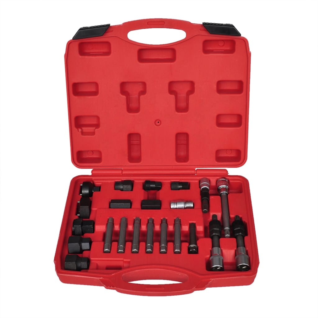 Alternator Bit and Socket Set, 22-Piece