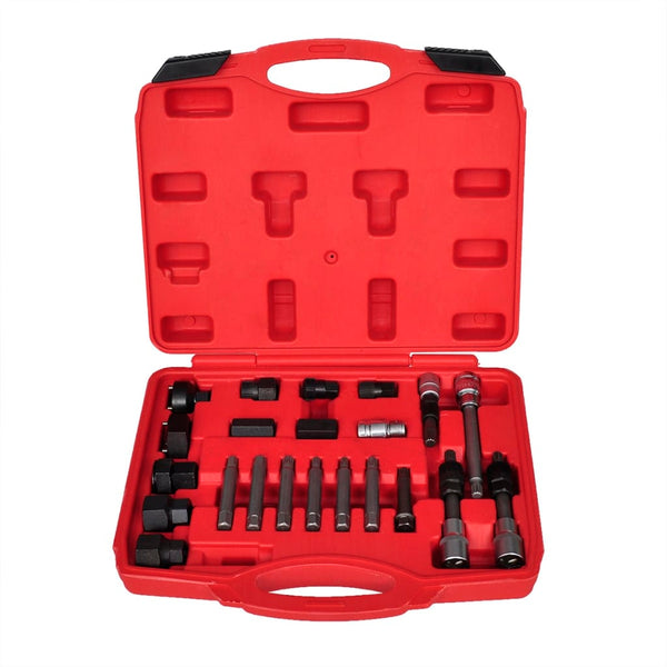 Alternator Bit and Socket Set, 22-Piece