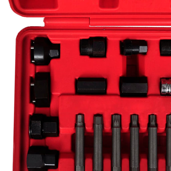 Alternator Bit and Socket Set, 22-Piece