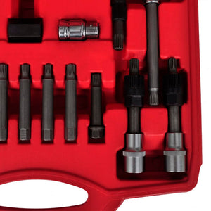Alternator Bit and Socket Set, 22-Piece