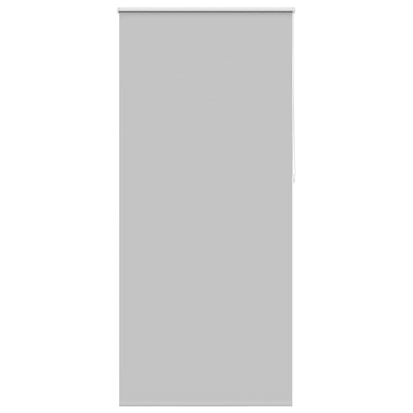 vidaXL Blackout Roller Blind 124.4 x 230 cm, Fabric Width 120 cm, Grey
