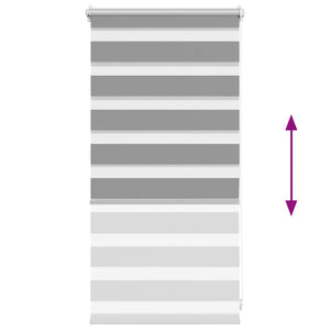 vidaXL Zebra Roller Blind 40.9 x 100 cm, Fabric Width 36.7 cm, Grey