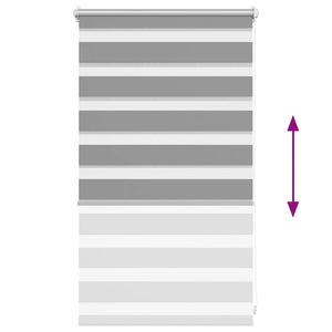 vidaXL Zebra Roller Blind 50.9 x 100 cm, fabric width 46.7 cm, grey