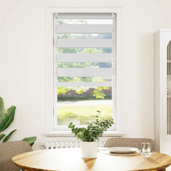 vidaXL Zebra Roller Blind 60.9 x 120 cm, Fabric Width 56.7 cm, White