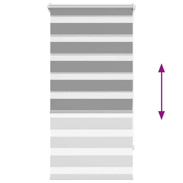 vidaXL Zebra Roller Blind 60.9 x 120 cm, Fabric Width 56.7 cm, Grey