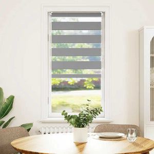 vidaXL Zebra Roller Blind 60.9 x 120 cm, Fabric Width 56.7 cm, Grey
