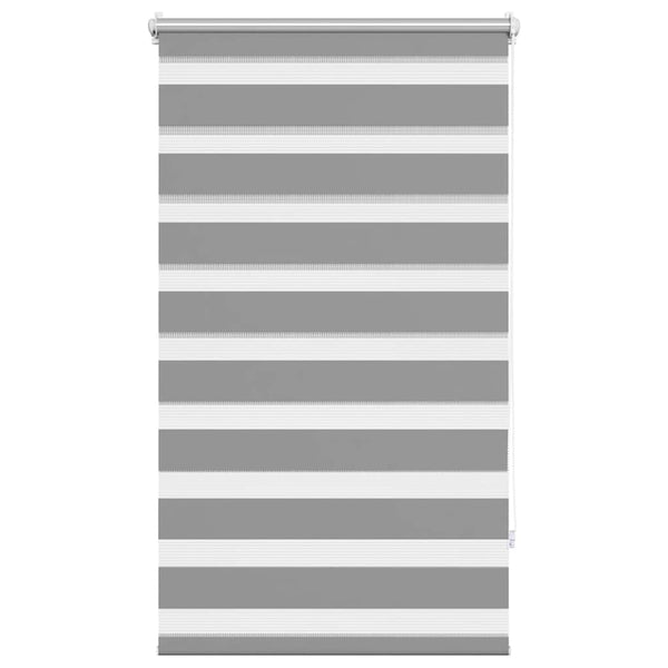 vidaXL Zebra Roller Blind 70.9 x 120 cm, fabric width 66.7 cm, grey