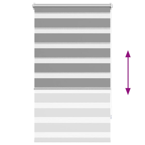 vidaXL Zebra Roller Blind 70.9 x 120 cm, fabric width 66.7 cm, grey