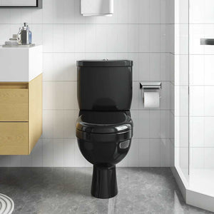 vidaXL Toilet with Cistern Black