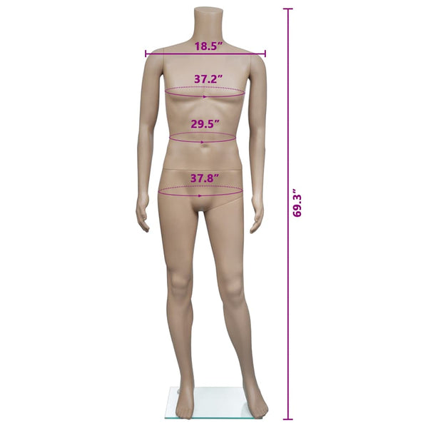 vidaXL Male Mannequin Headless