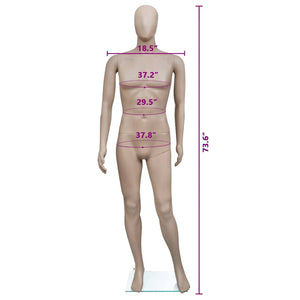 vidaXL Male Mannequin Round Head