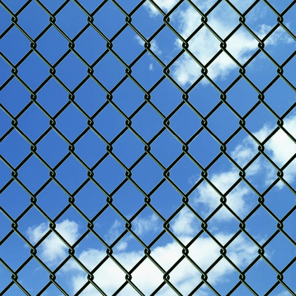 vidaXL Chain Link Fence with Posts and Ground Sleeves Steel 0.8x25 m