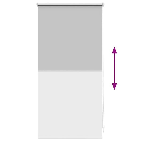 vidaXL Blackout Roller Blind 44.4 x 100 cm, Fabric Width 40 cm, Grey