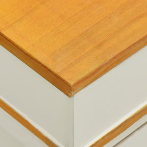 vidaXL Storage Bench Shoe Cabinet Hallway Bench