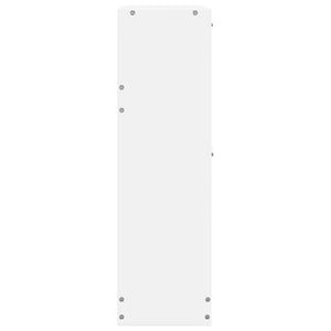 White Wooden Shoe Cabinet with 2 Tilt-Out Shoe Drawers