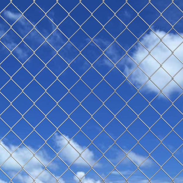 vidaXL Galvanized Steel Chain Link Fence 25x1 m Silver