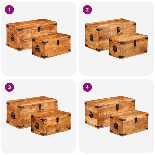 vidaXL 2-Piece Chest Set Rough Mango Wood