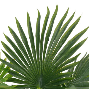 vidaXL Artificial Palm Plant with Pot Green 70 cm
