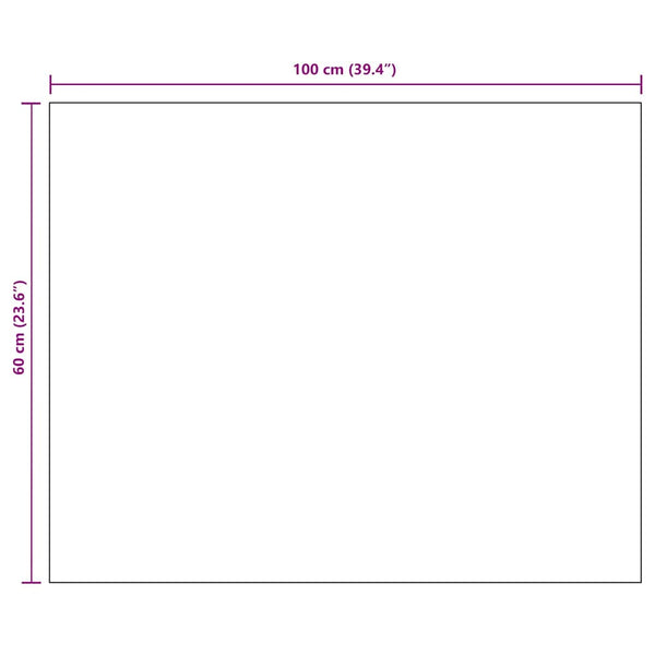 vidaXL Frameless Mirror 100x60 cm Glass