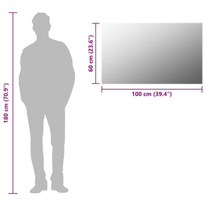 vidaXL Frameless Mirror 100x60 cm Glass