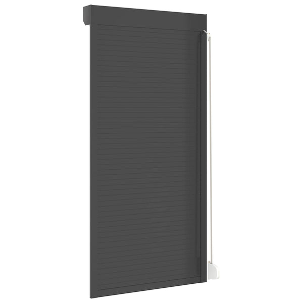 vidaXL Roller Shutter Anthracite 100 x 210 cm Aluminum and Polyurethane