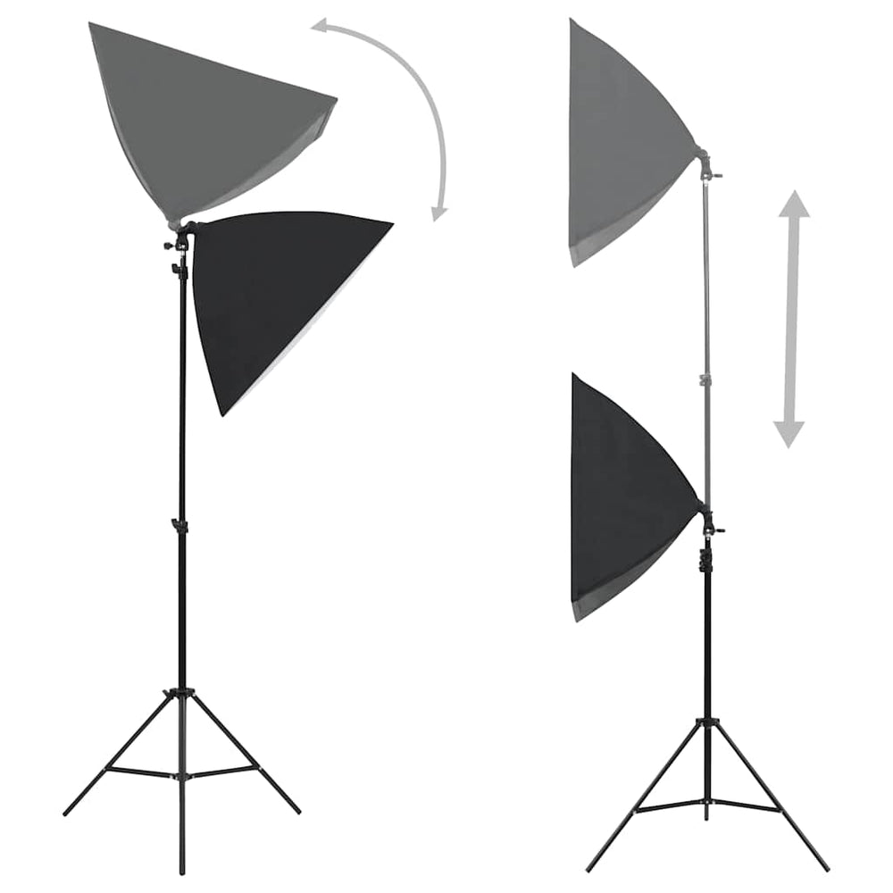 vidaXL Professional Studio Lights 2 pcs. 40x60 cm Steel Black